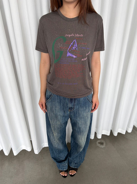 InsGale 26SS vintage insgale islands 短T
