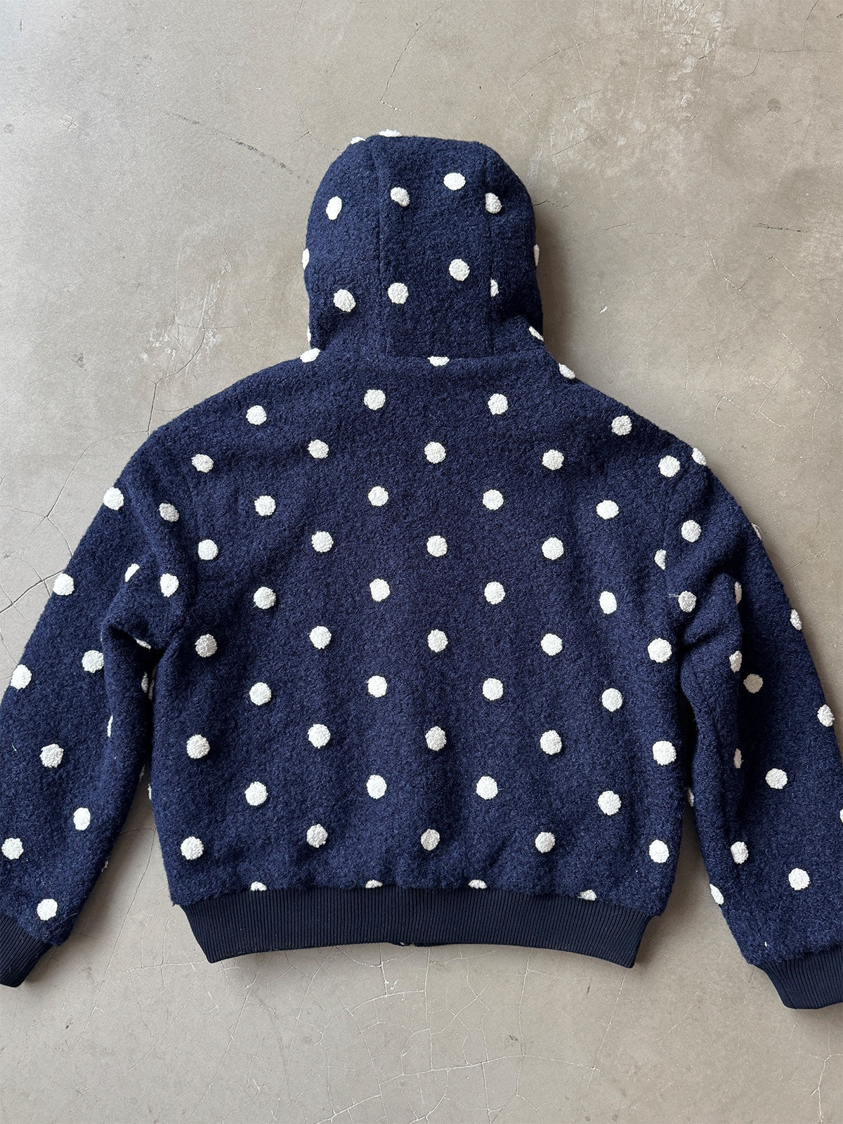 InsGale 25AW 點點羊羔絨連帽拉鍊外套