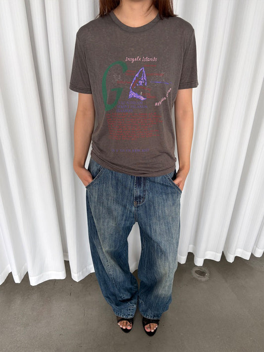 InsGale 26SS vintage insgale islands 短T